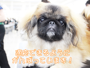 １年生、今日もがんばっています！